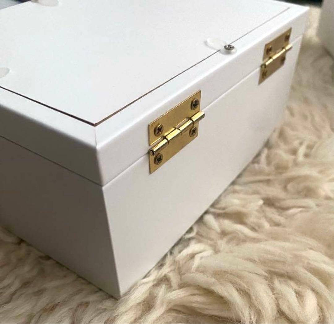 Dior プリザーブドフラワーアレンジメントフォトスタンド　ショップバック付き