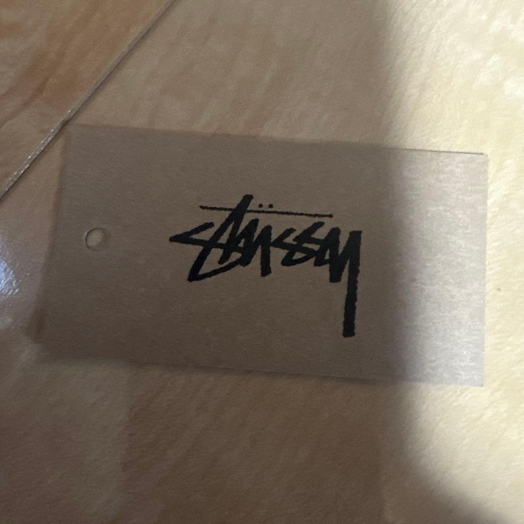 STUSSY 魚グラフィック Tシャツ