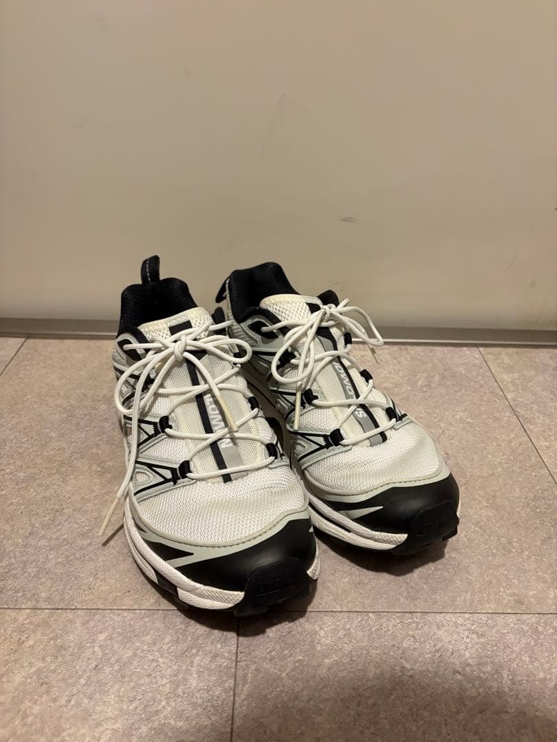 サロモン SALOMON XT6 EXPANSE