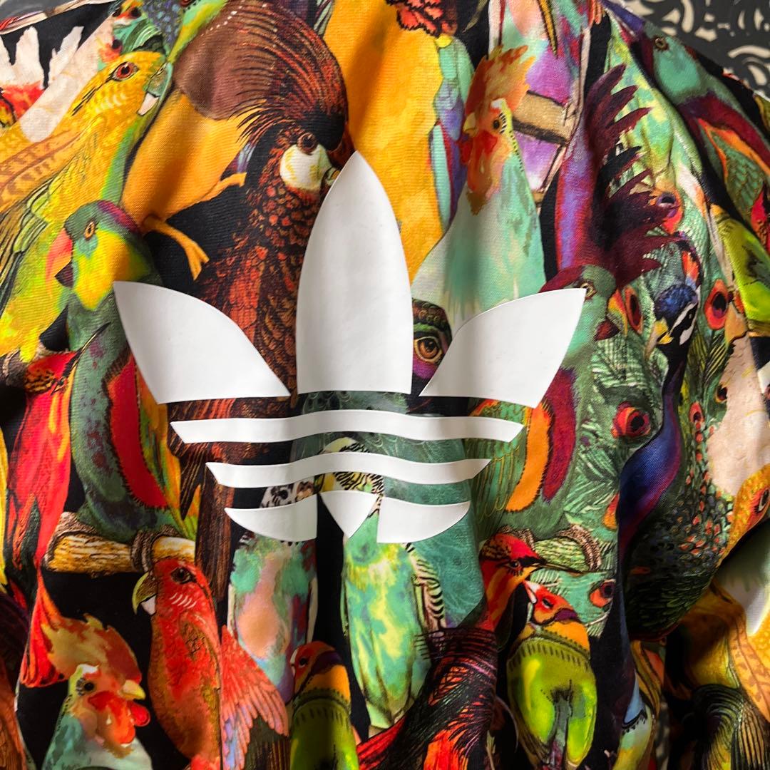 adidas カラフル鳥プリント ジャージセット