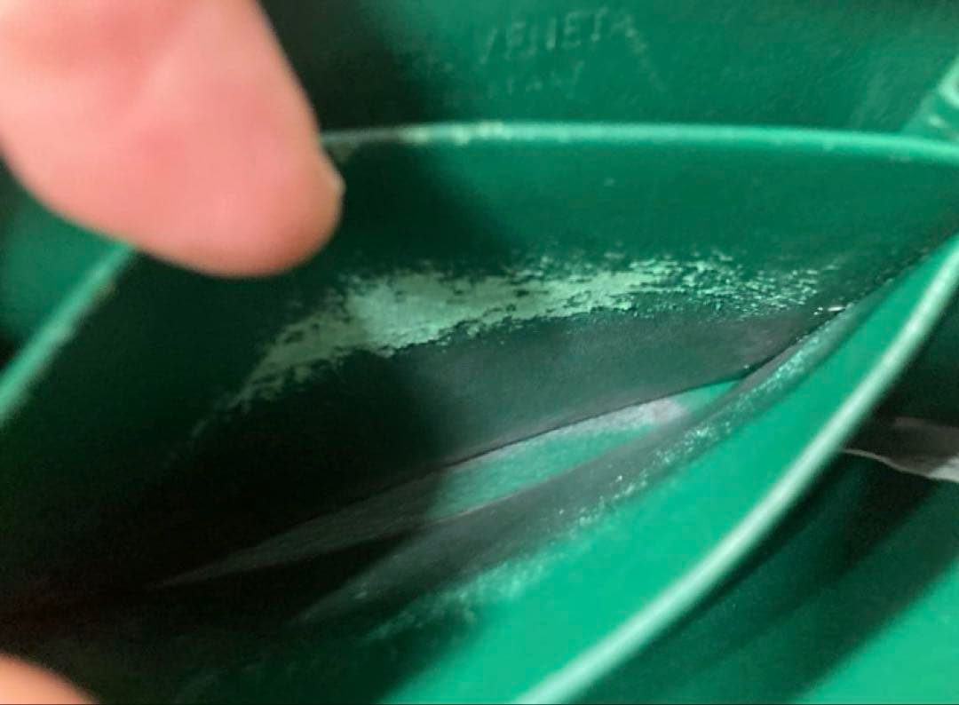 BOTTEGA VENETA ケース（グリーン）