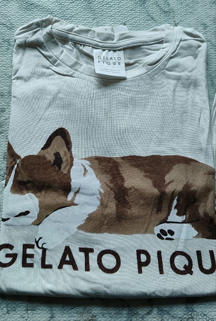 ジェラートピケ コーギー　上下セット　ルームウェア　 16-7