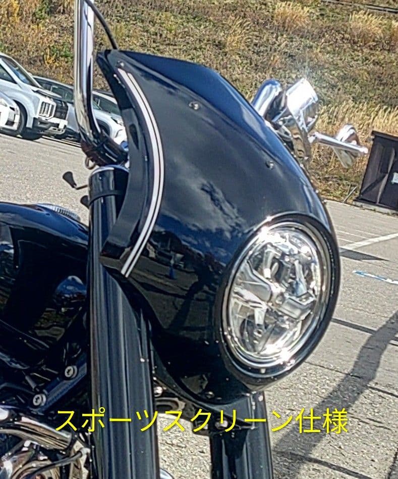  R18／ビキニカウル（スクリーン付き）Wunderlich製