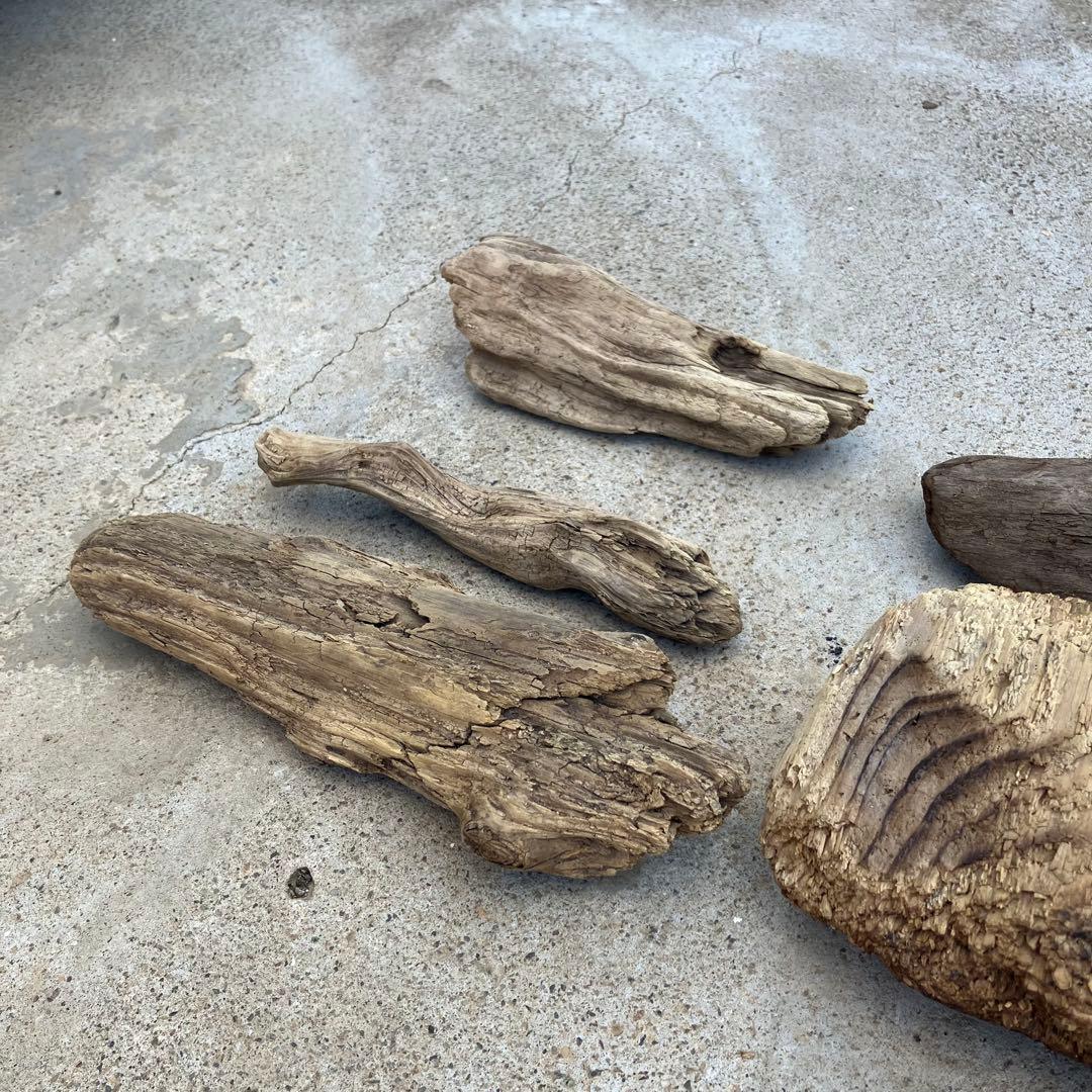 流木 5点セット 自然素材