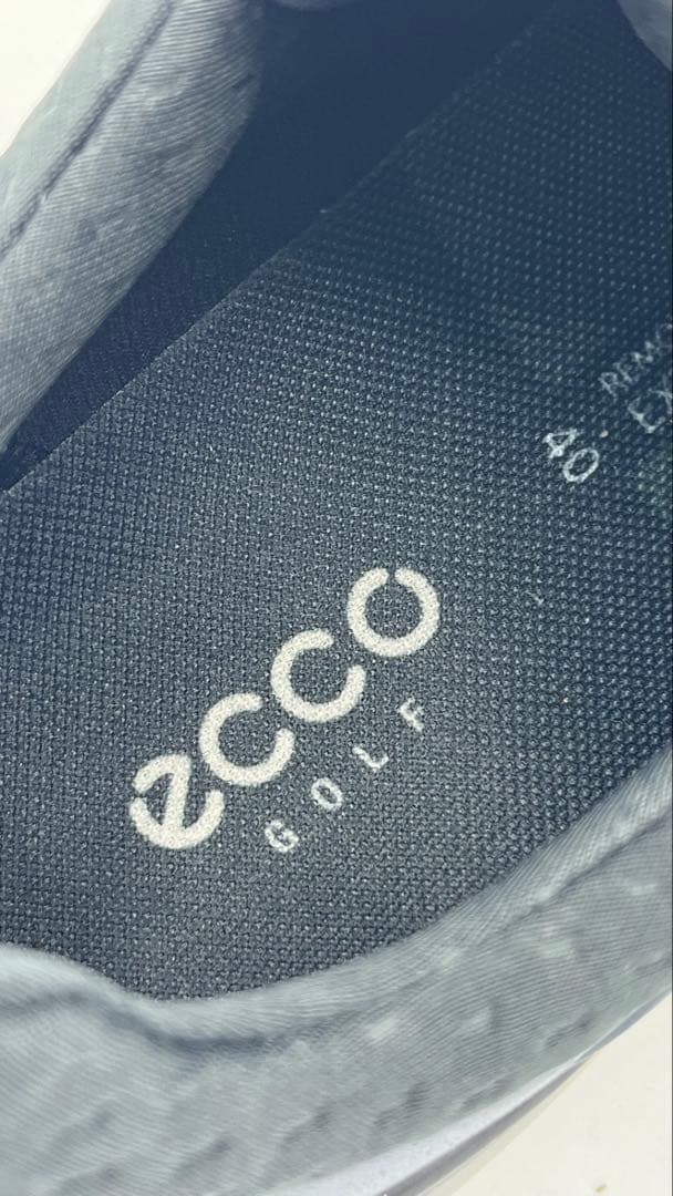 ◉状態良好 ECCO BIOM HYBRID4 BOA GORE-TEX ゴルフ