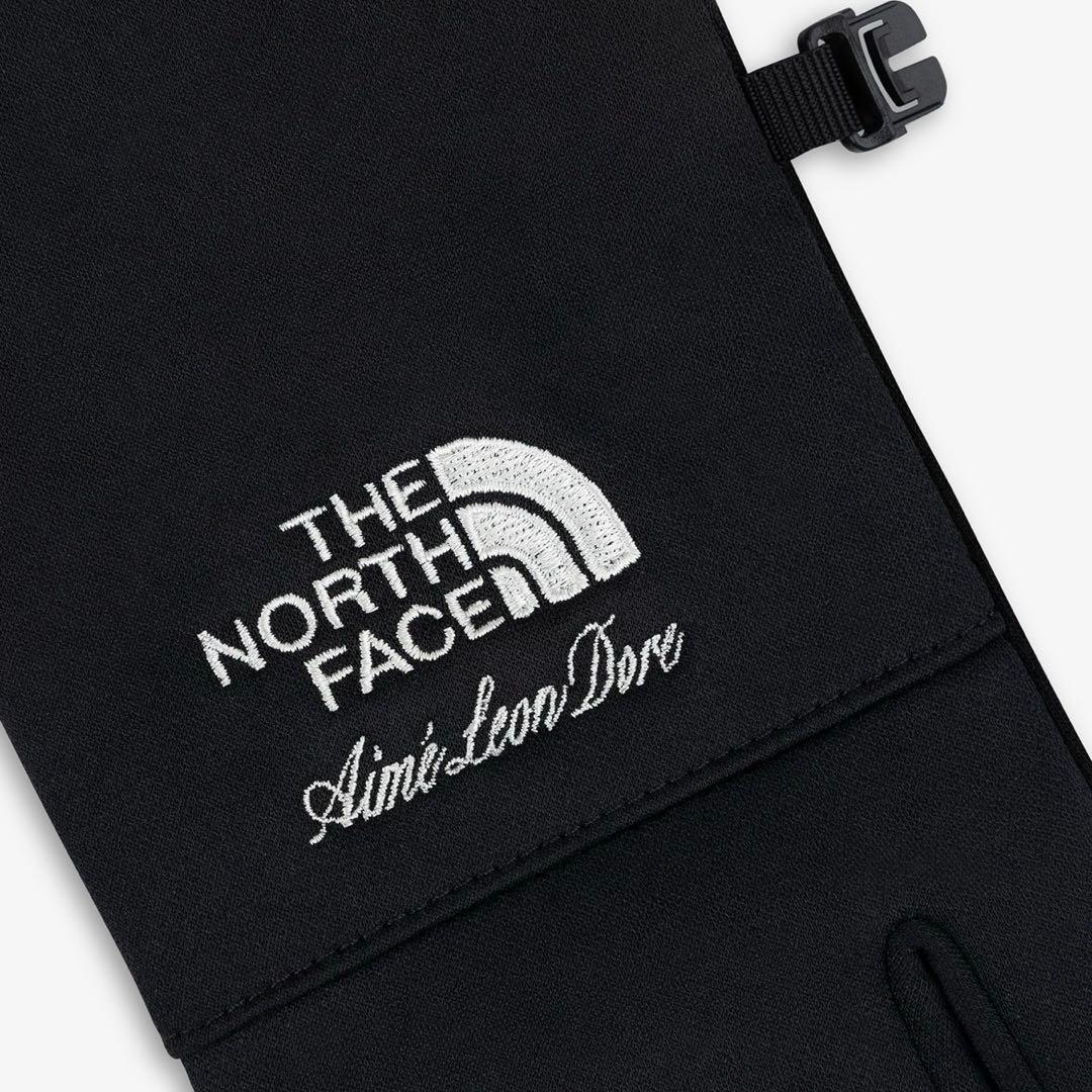 【TNF × Aime Leon Dore】Etip Glove【M】イーチップ