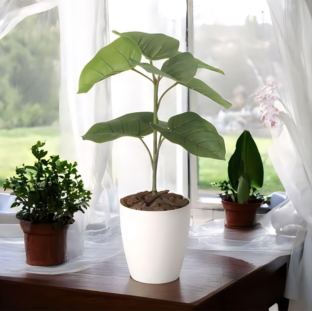 光触媒　人工観葉植物　ウォールグリーン　フェイクグリーン　ウンベラータ60