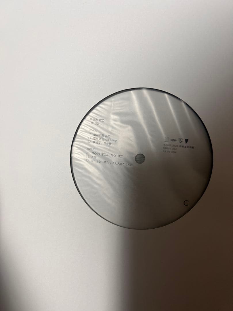 銀杏boyz door 2LP レコード ゴイステ