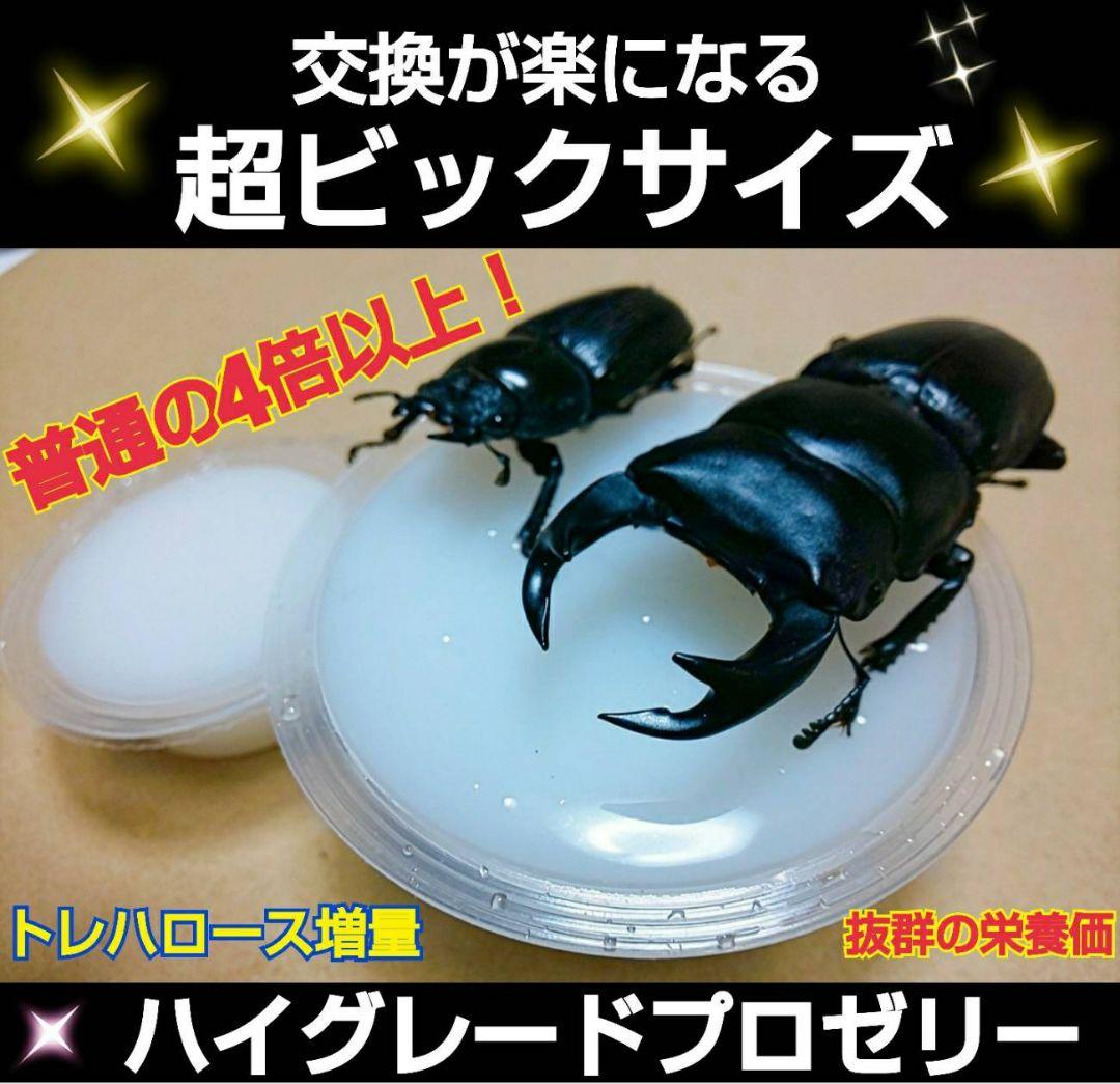 ビッグサイズ！ハイグレードプロゼリー☆200個　普通の4倍以上のデカサ！プロ仕様