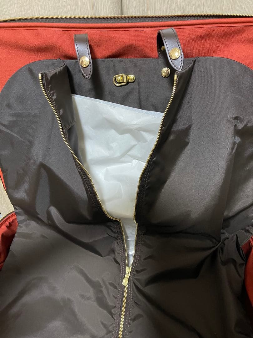 ルイ・ヴィトン ダミエキャリーケース ペガス55