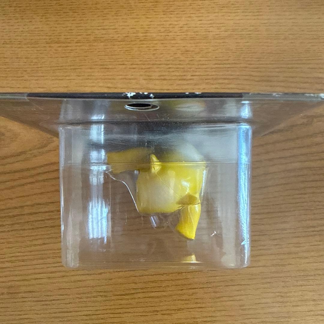 モンコレ初期　スリープ スリーパー セット　未開封