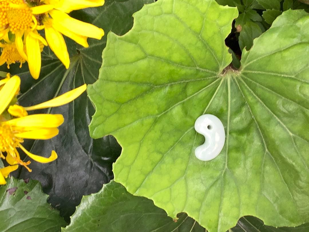 ✳極上物　本物ジェダイト　糸魚川翡翠勾玉　最安値卸し‼️ 守護石に　鑑定機関鑑…