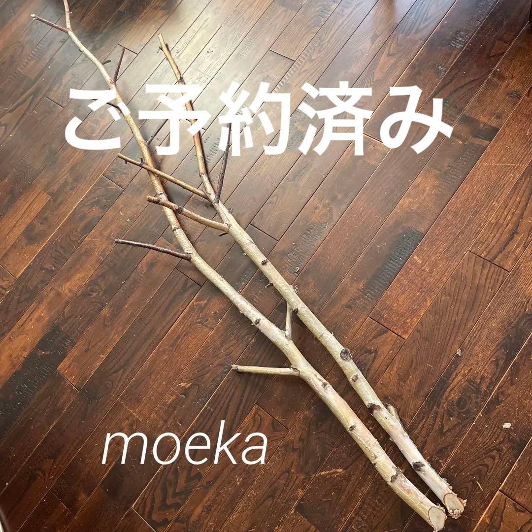 白樺の木　北海道インテリア　店舗用ディスプレイ　クリスマス装飾　インテリア雑貨