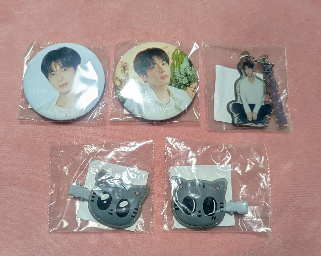 TXT テヒョン ダゴニャン ヘアクリップ 缶バッジ アクリルキーリング