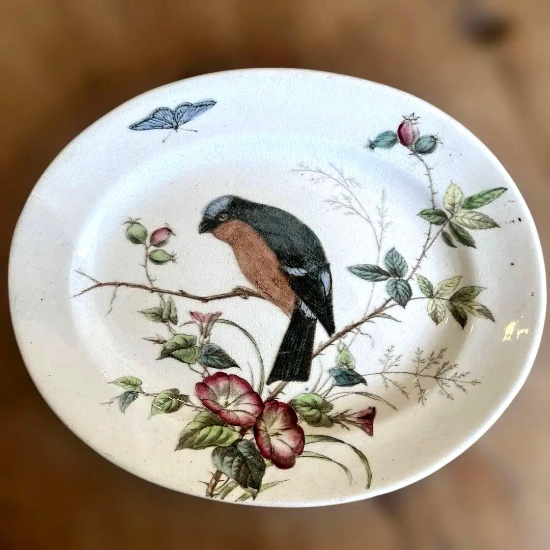 希少アンティーク　ジョン・モードロック・ロビン・プレート1800年代後半