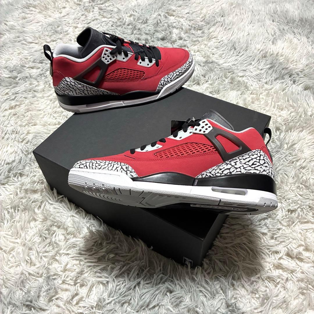 【新品未使用】NIKE JORDAN SPIZIKE 30〈定価23,560円〉