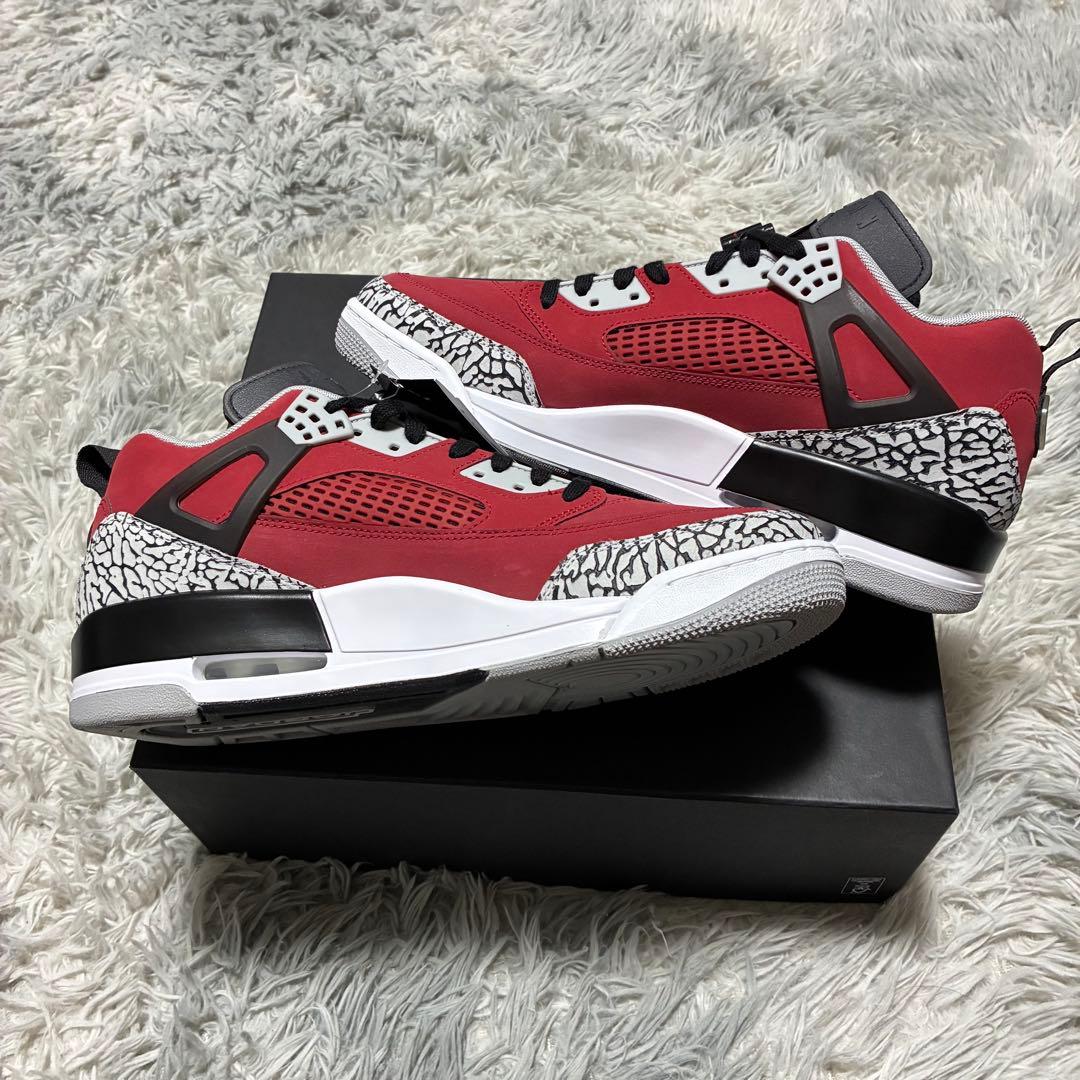 【新品未使用】NIKE JORDAN SPIZIKE 30〈定価23,560円〉