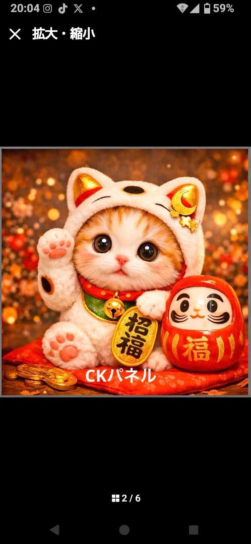 ご確認用　ファン子　ハンカチ　ねこちゃん柄12/28