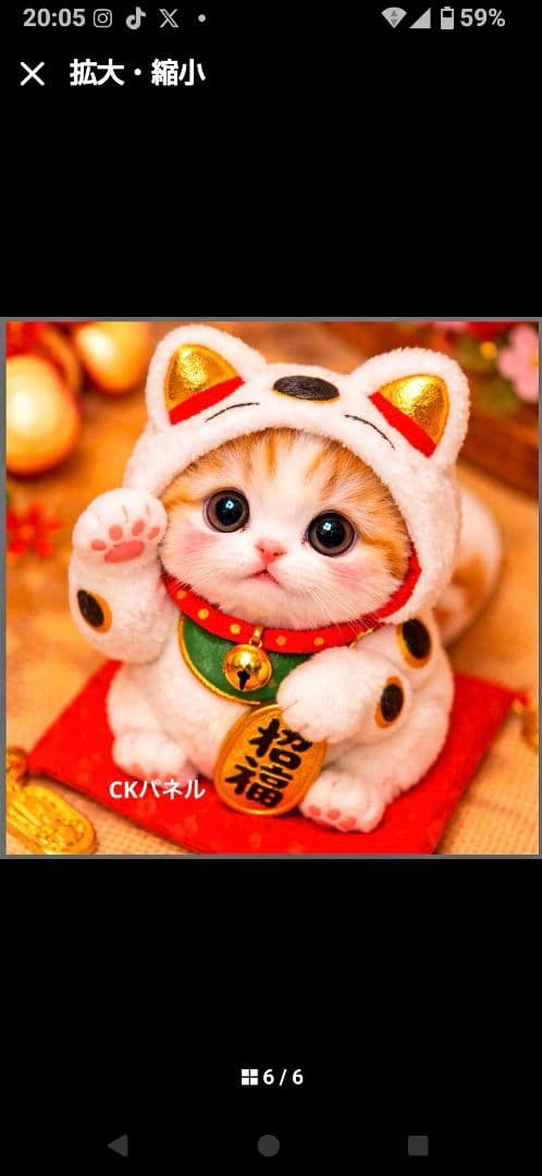 ご確認用　ファン子　ハンカチ　ねこちゃん柄12/28