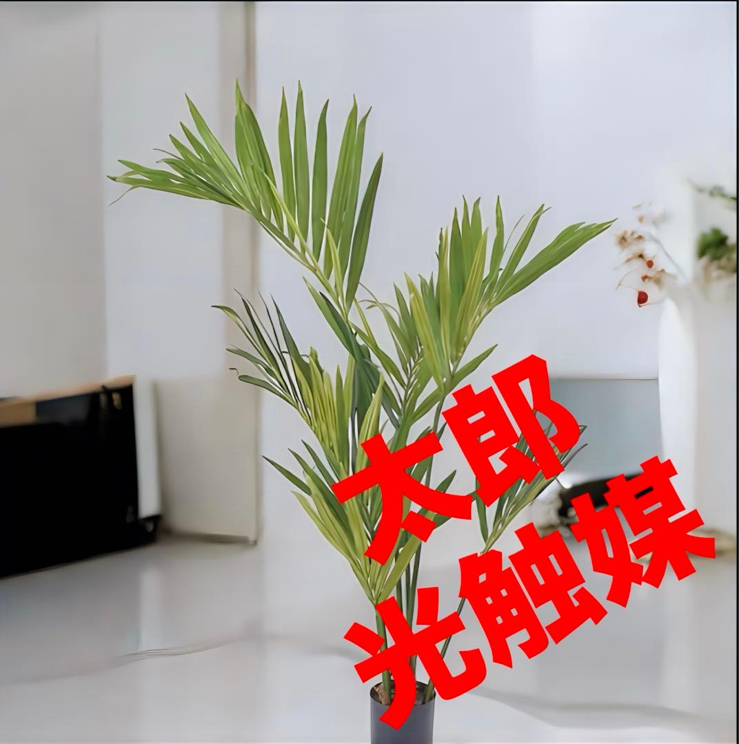 光触媒　人工観葉植物　ウォールグリーン　フェイクフラワー　ケンチャヤシgp