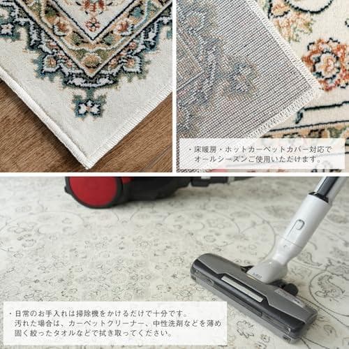 サヤンサヤン ペルシャ ラグ カーペット ロイヤルパレス14650 195x2a