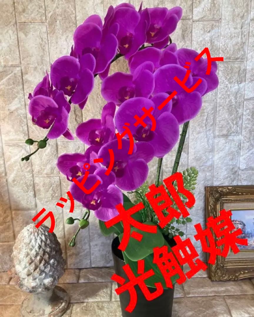 光触媒　人工観葉植物　ウォールグリーン　フェイクグリーン　リアル胡蝶蘭ajt