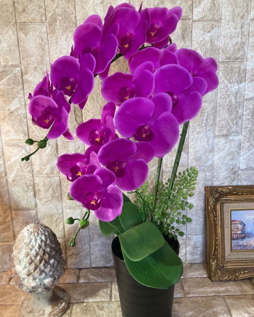 光触媒　人工観葉植物　ウォールグリーン　フェイクグリーン　リアル胡蝶蘭ajt