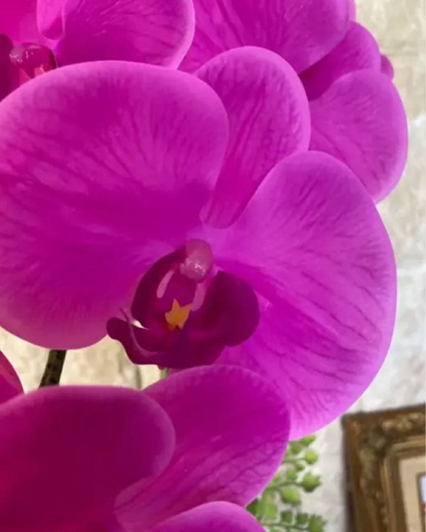 光触媒　人工観葉植物　ウォールグリーン　フェイクグリーン　リアル胡蝶蘭ajt