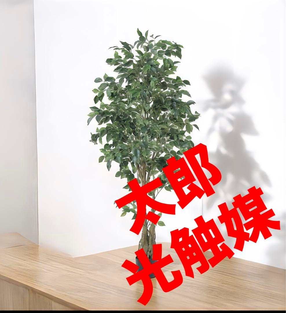 光触媒　人工観葉植物　ウォールグリーン　フェイクグリーン　フィカスツリー190