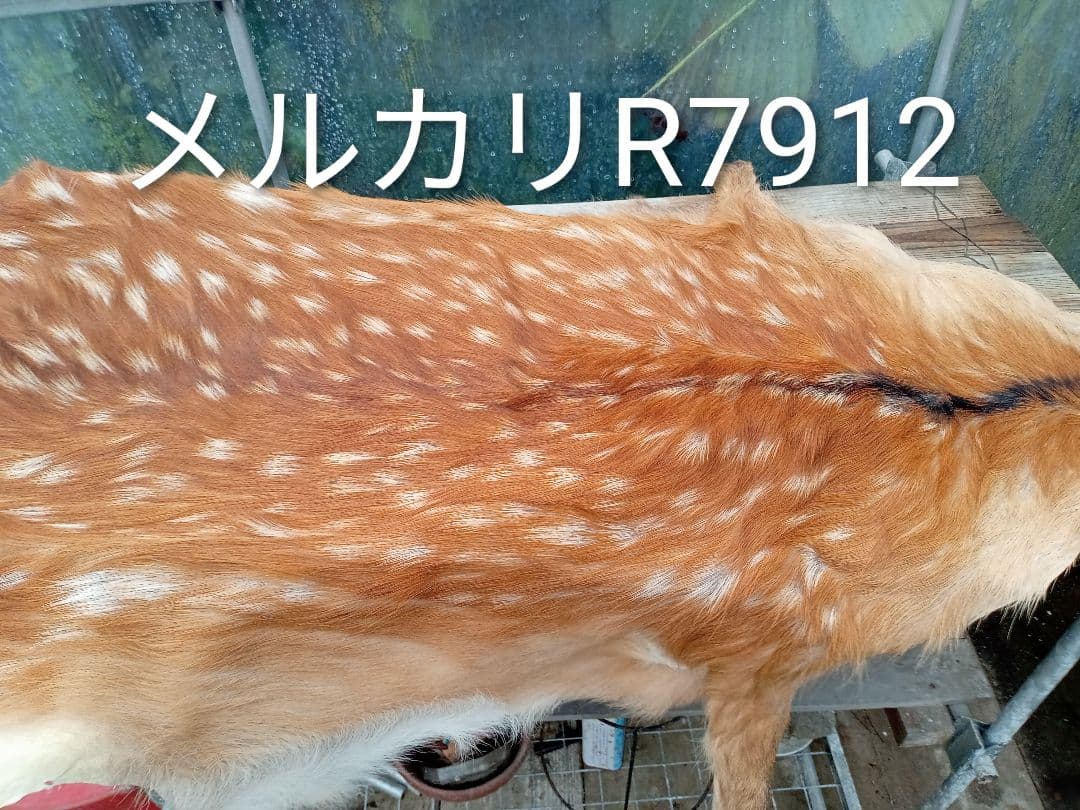 天然日本鹿　夏毛　袖付きラグ