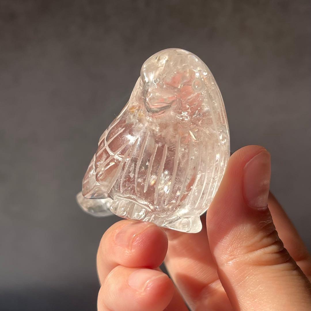 再再販 小鳥シリーズ ライモナイト イン クリアクォーツ