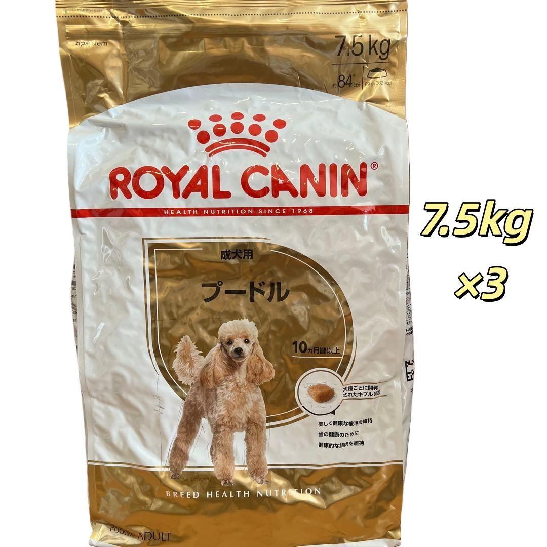  CANIN プードル用ドライフード 7.5kg×3