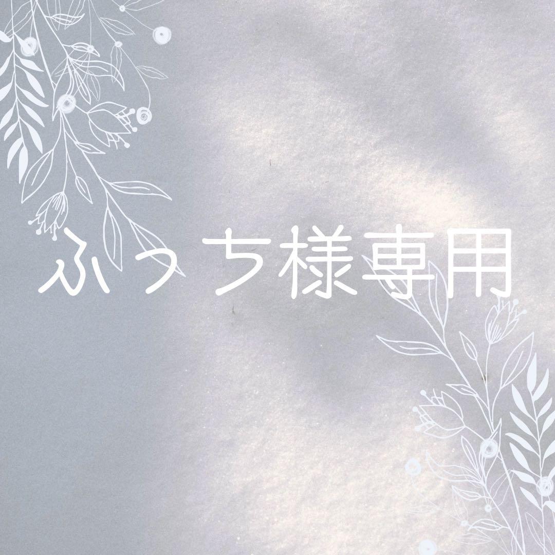 ふっちページ／イヤリング8点／ヘアコーム1点