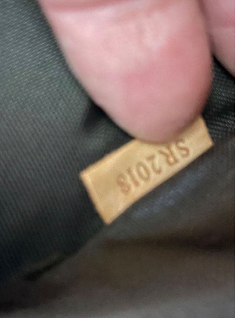 Louis Vuitton モノグラム ペガス55キャリーケース