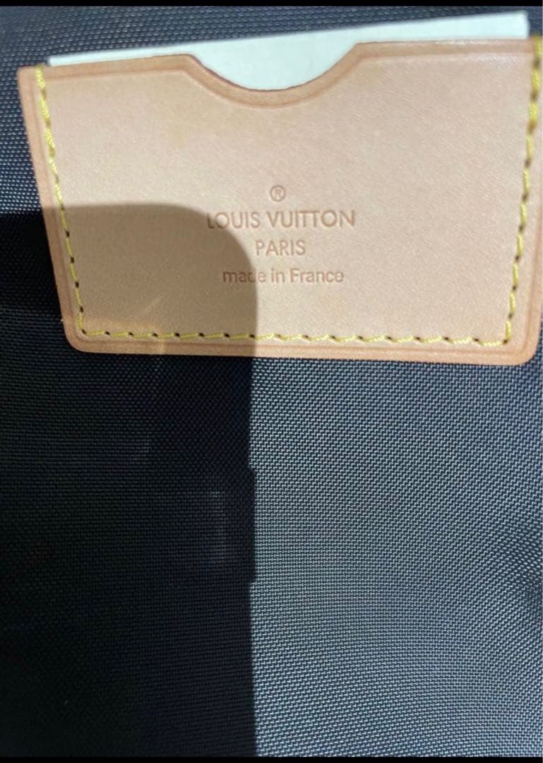 Louis Vuitton モノグラム ペガス55キャリーケース