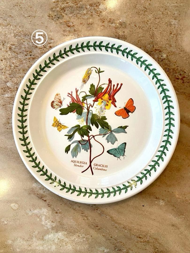 ポートメリオン　ボタニックガーデン　22㌢プレート
