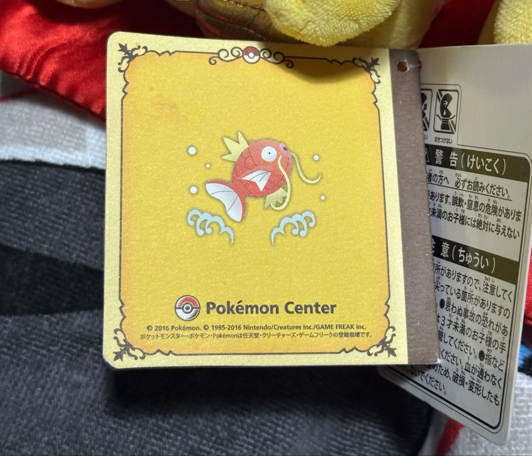 マンスリーペアピカチュウ 2017年 1月