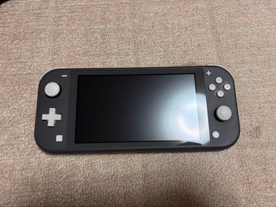 Nintendo Switch lite グレー ケース付き