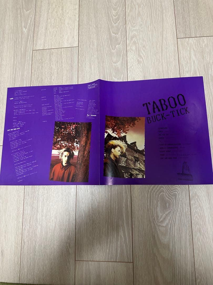 【美品】BUCK-TICK TABOO レコードピクチャー盤