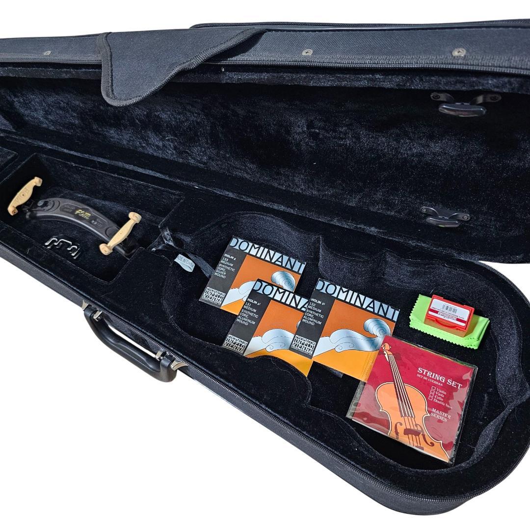 Carlo giordano VS-1 4/4 2020 バイオリン 付属品多数