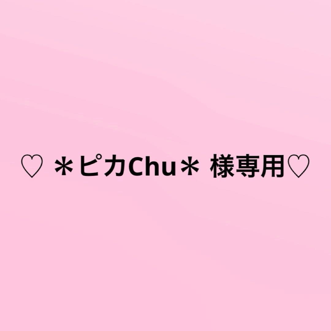 ＊ピカChu＊ イラストオーダー ポストカード