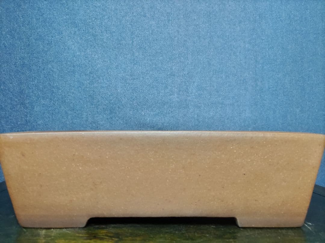 盆栽鉢　　中野行山手造り　　早い者勝ち