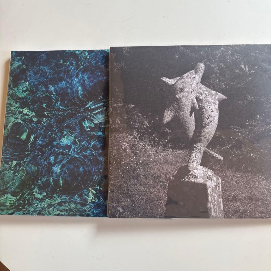 青葉市子singlecollectionとCreatures初回限定デラックス