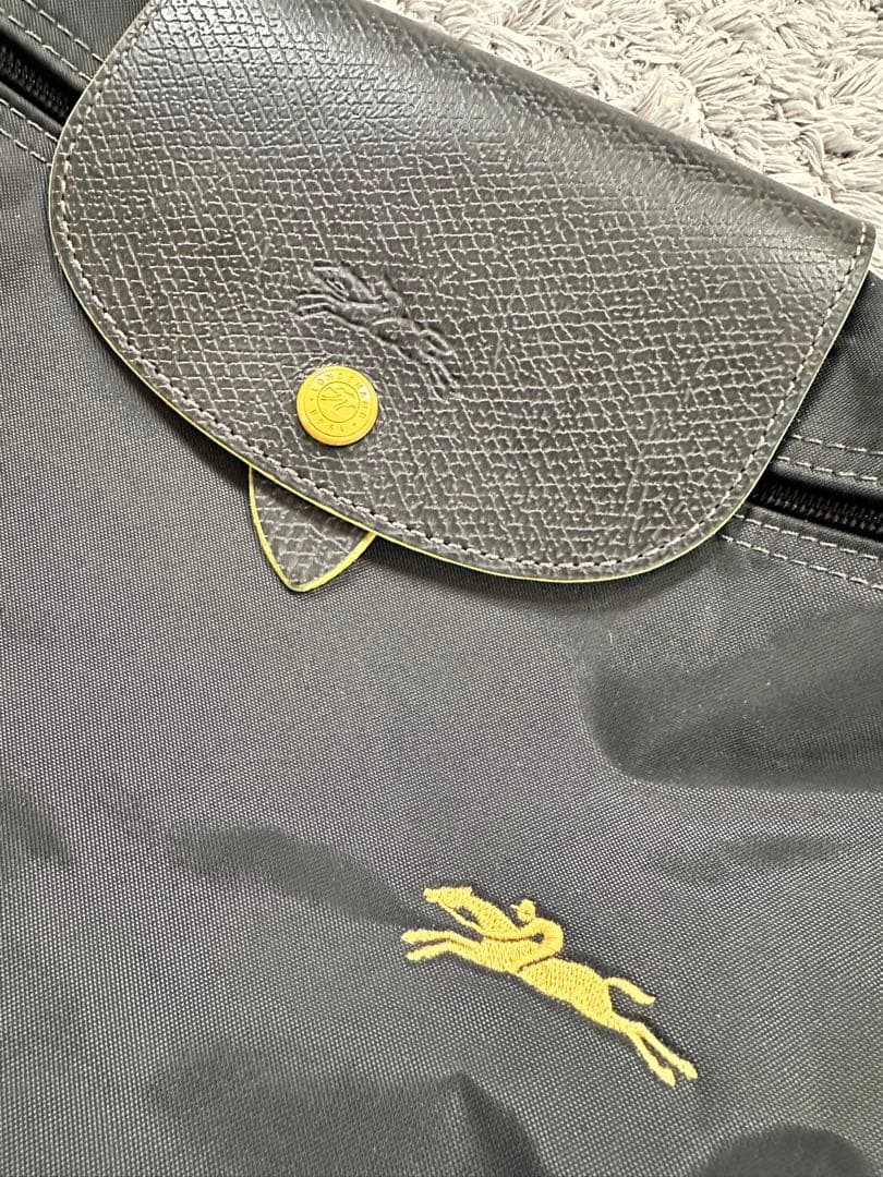 【未使用】 LONGCHAMP レディース リュック