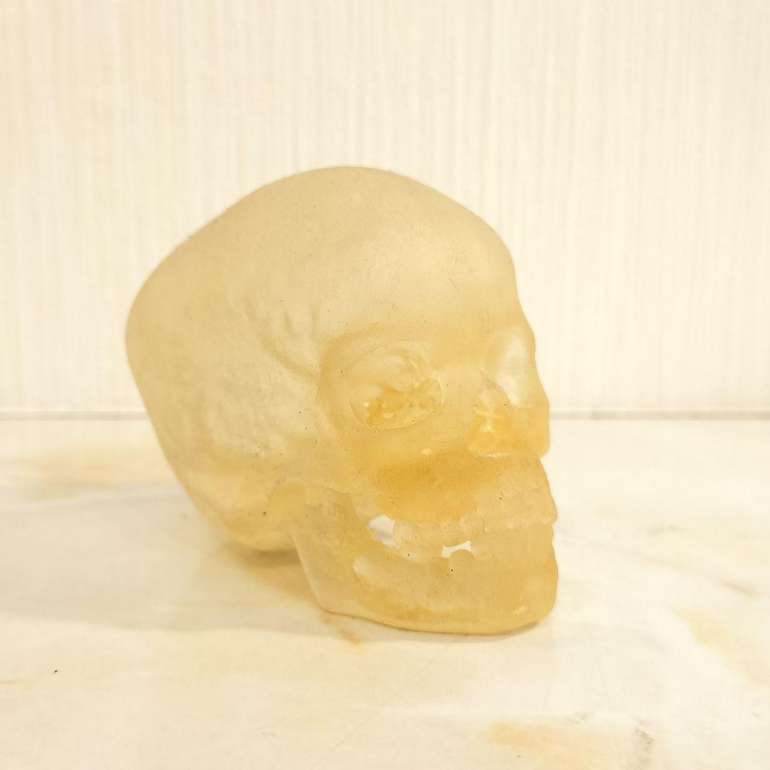 骸骨 置物 オブジェ