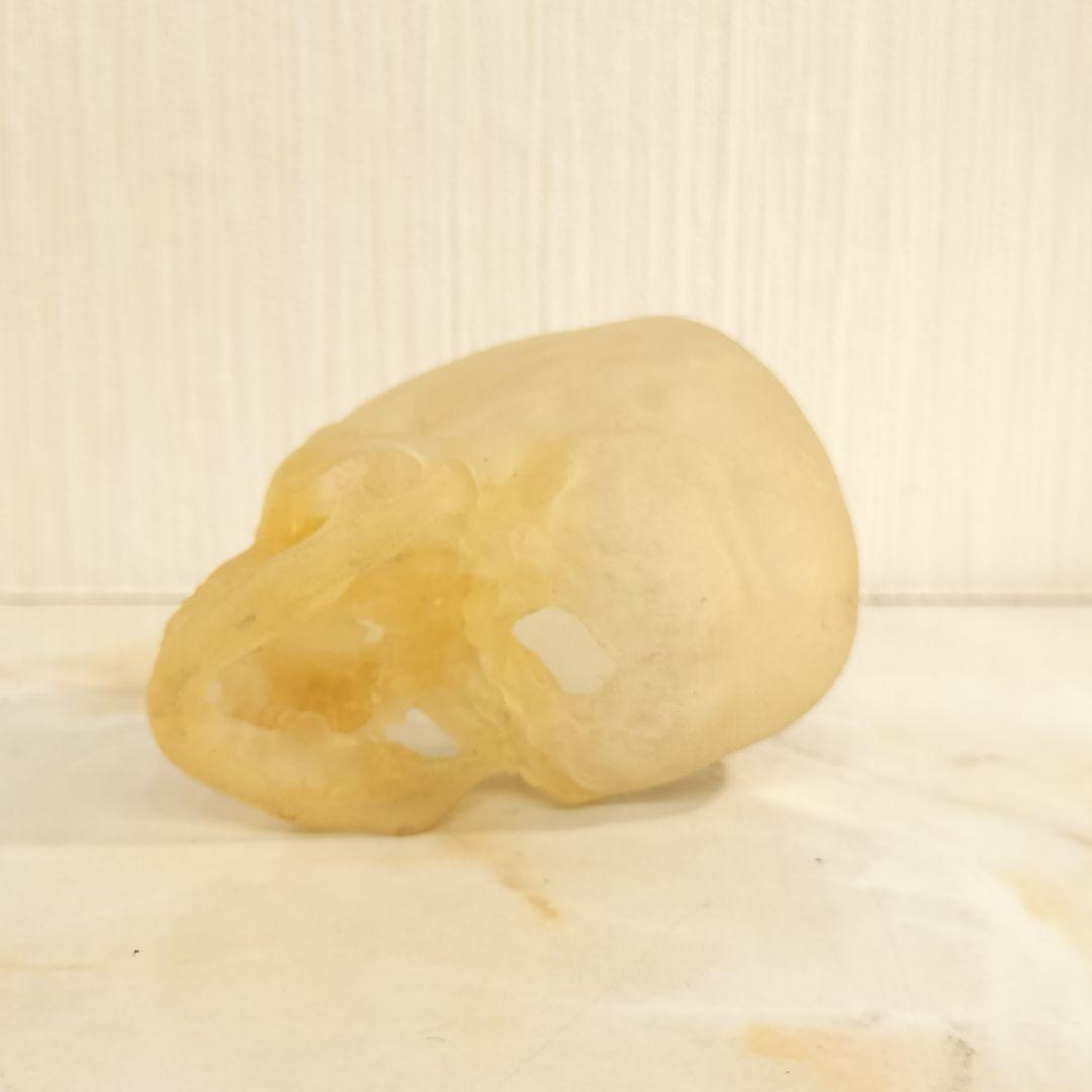 骸骨 置物 オブジェ