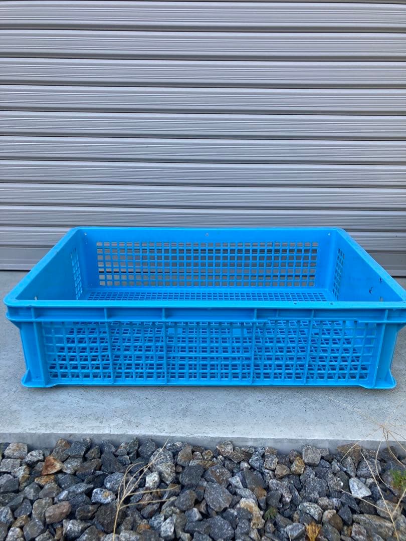 青いプラスチック製メッシュコンテナ　3枚セット