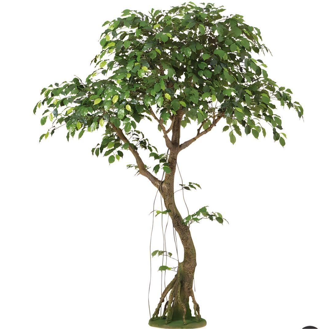光触媒　人工観葉植物　フェイクグリーン　フィカスベンジャミナコアッド