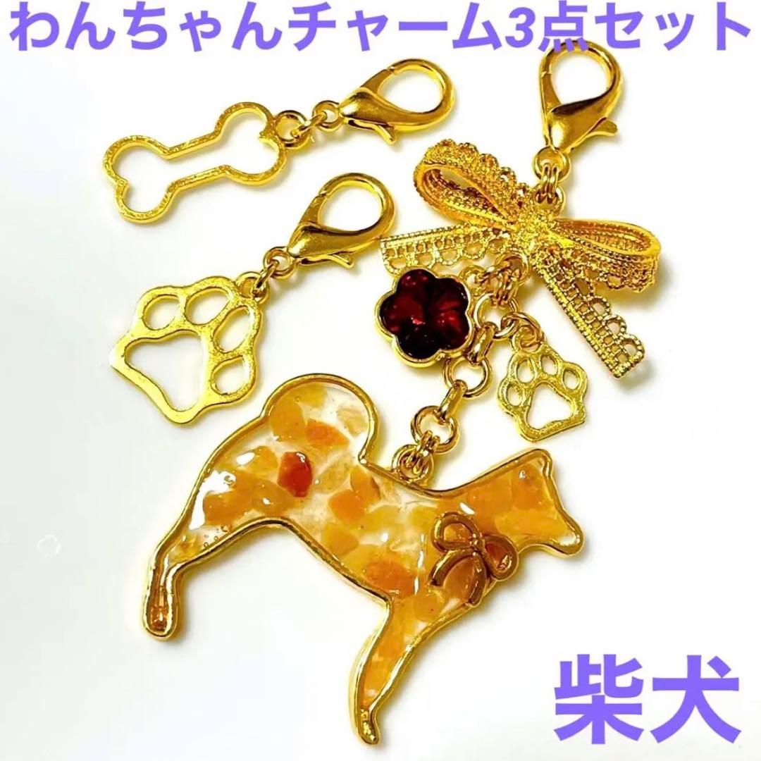 わんちゃん チャーム 3点set リボン 柴犬