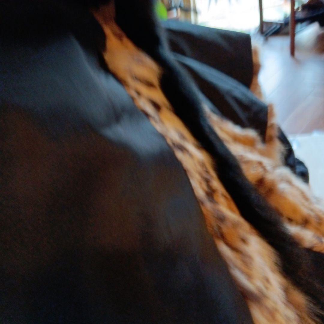 ちょっと可愛い 山猫のコート